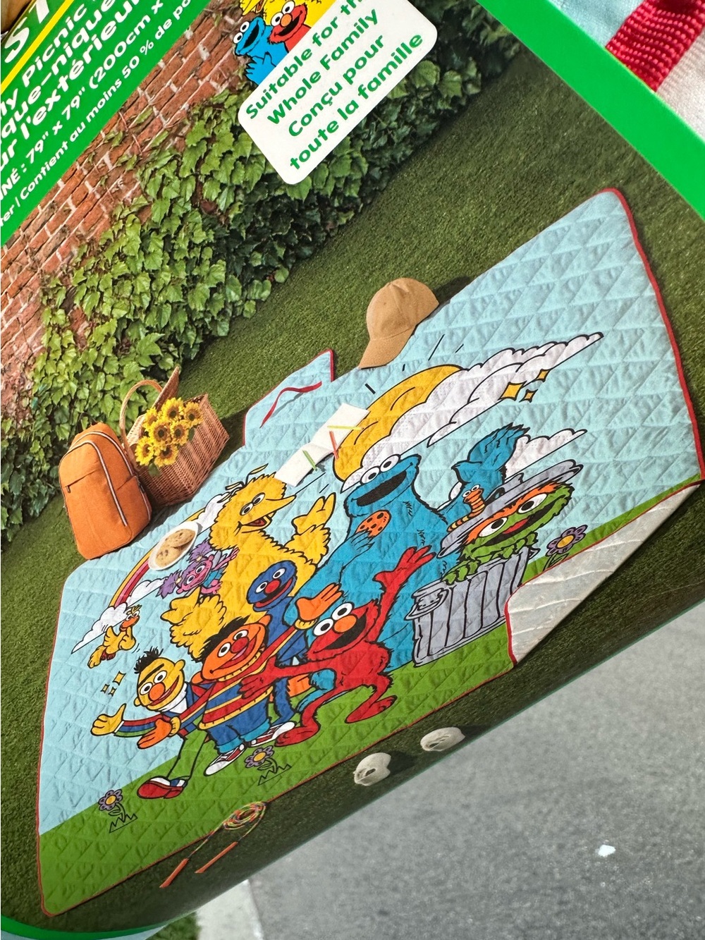 Sesame Street Outdoor Family Picnic Mat